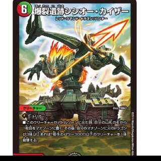 シシオーカイザー2枚募集