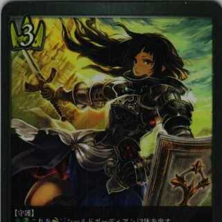 BP02-024 Ho Wight Paladin, 3 copies