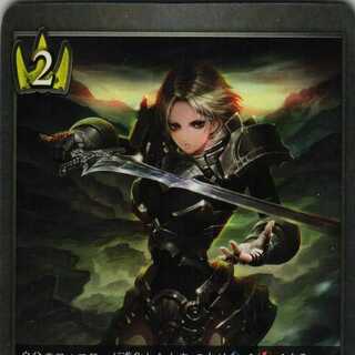 BP02-029 Swift Penetrator