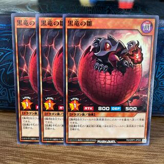 No.297 P shop Black Dragon's Chick [no