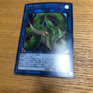 捕食植物ヴェルテアナコンダ