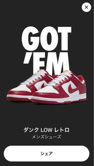 Nike Dunk Low Gym Red 27.5cm