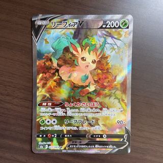 Y] LeafeonV SR 071/069