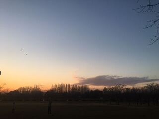 ショコラ様専用