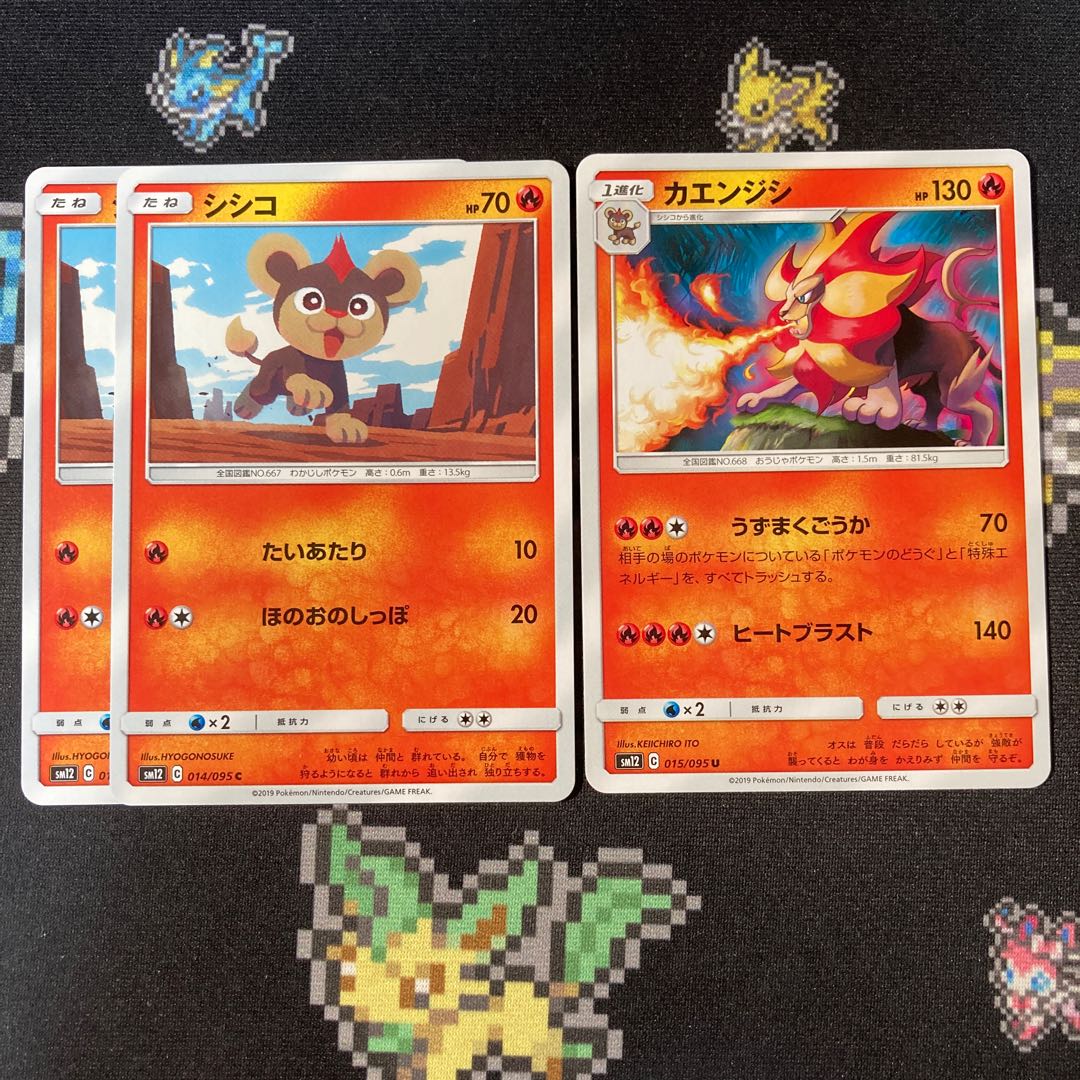 シシコ 2枚 カエンジシ 1枚 セット