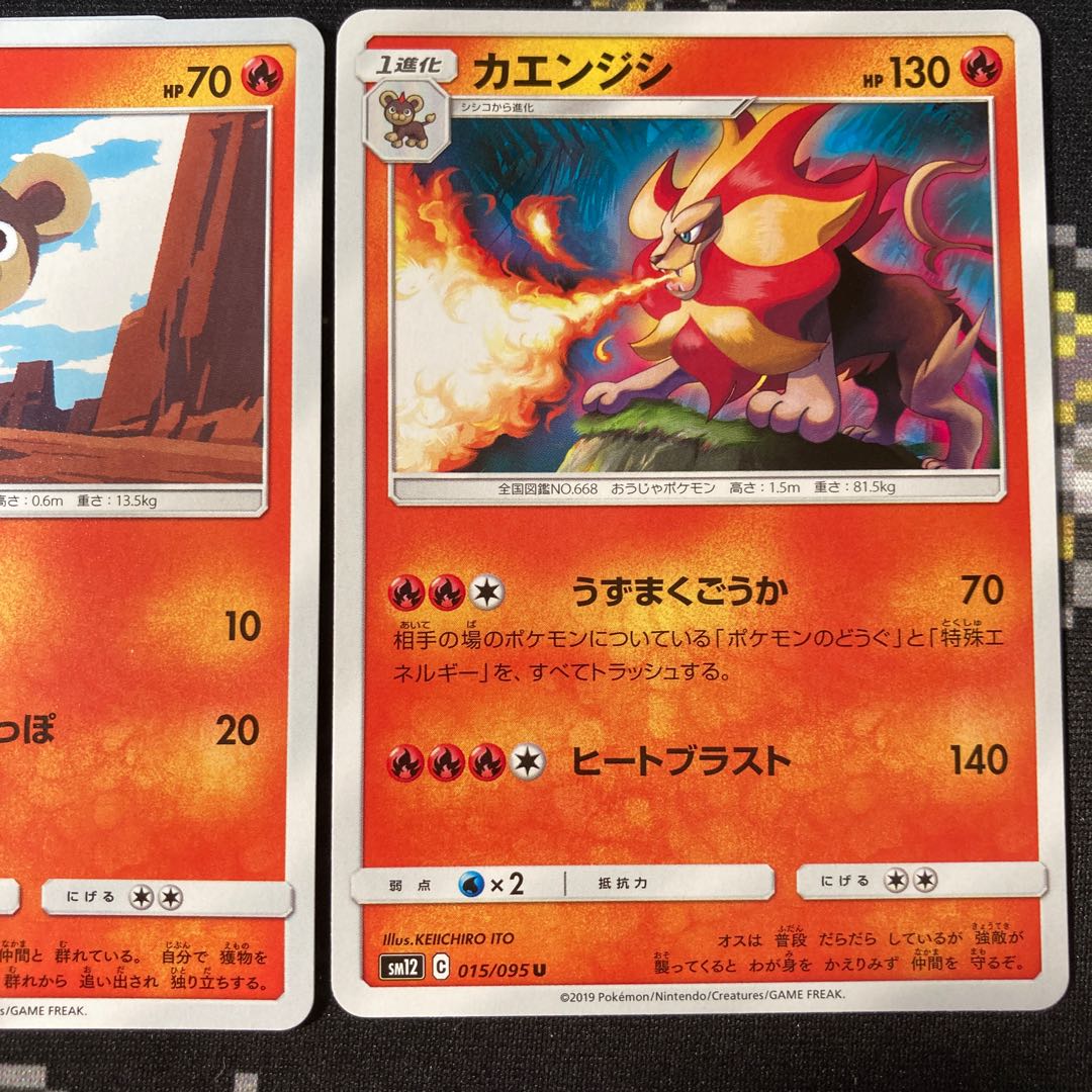 シシコ 2枚 カエンジシ 1枚 セット