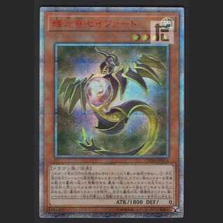 Starliege Seyfert [near] 20th Sicre/Managed by MY0352