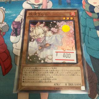 Ash Blossom & Joyous Spring Super Rare JP016 1 copy Special Price