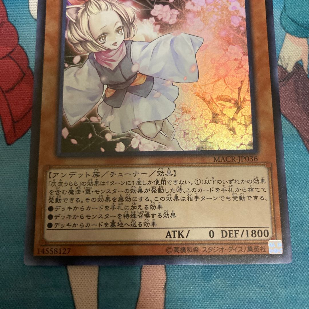 Ash Blossom & Joyous Spring Super Rare JP016 1 copy Special Price