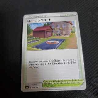 Training Court 1 piece