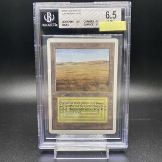 BGS6.5 Savannah 2ED EN