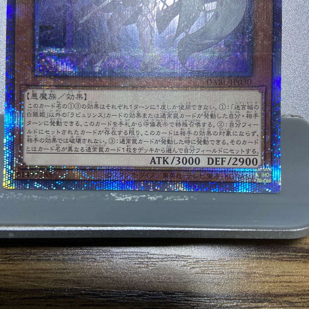 Silver Princess of the Labyrinth Castle PSE DABL-JP 030