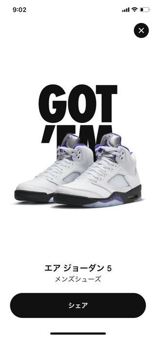 ナイキ エアジョーダン5 "ダークコンコルド" 28cm