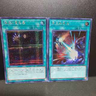 【シークレット】深淵の宣告者　冥王結界波