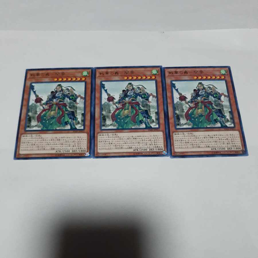 Character Rare Ancient Warriors - Loyal Guan Yun