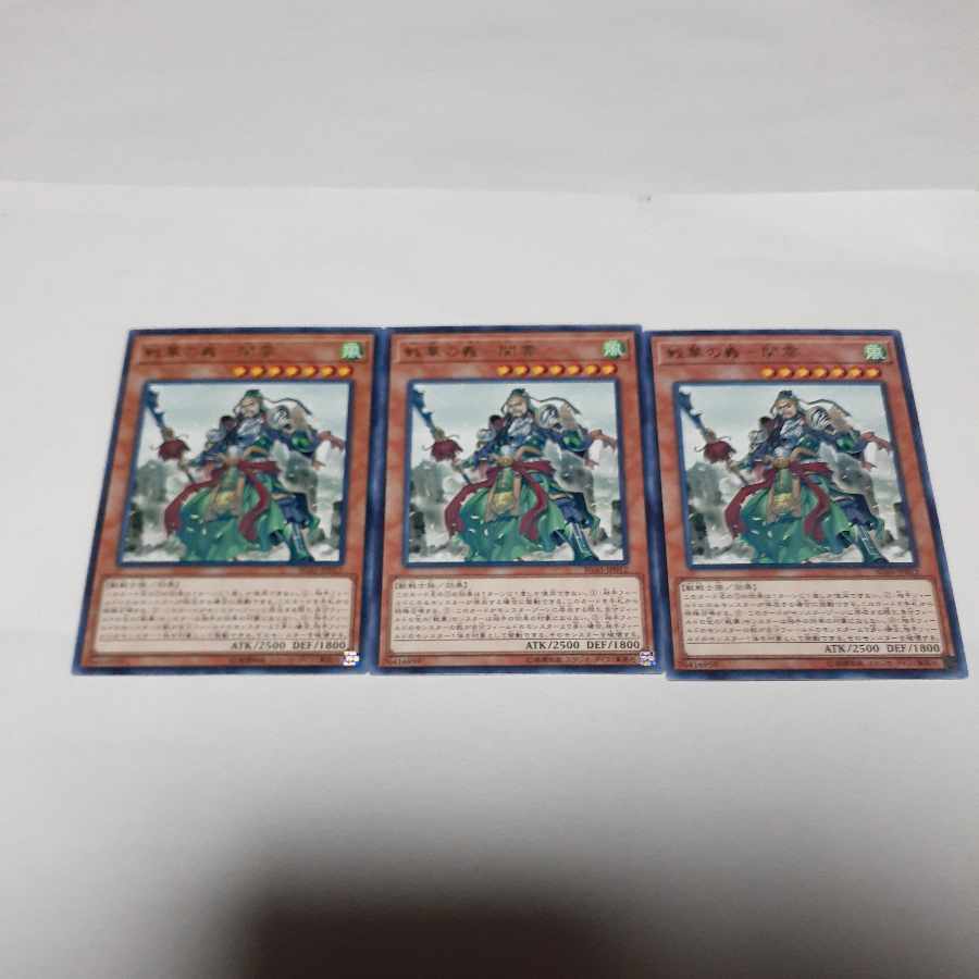 Character Rare Ancient Warriors - Loyal Guan Yun