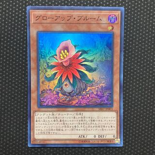 Glow-Up Bloom Super Rare JP003