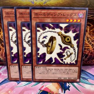 No.1031 P屋 Holding Legs [No