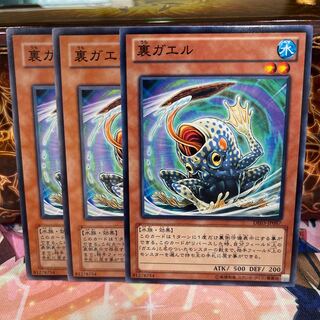 No.1043 P屋　裏ガエル 【ノー】