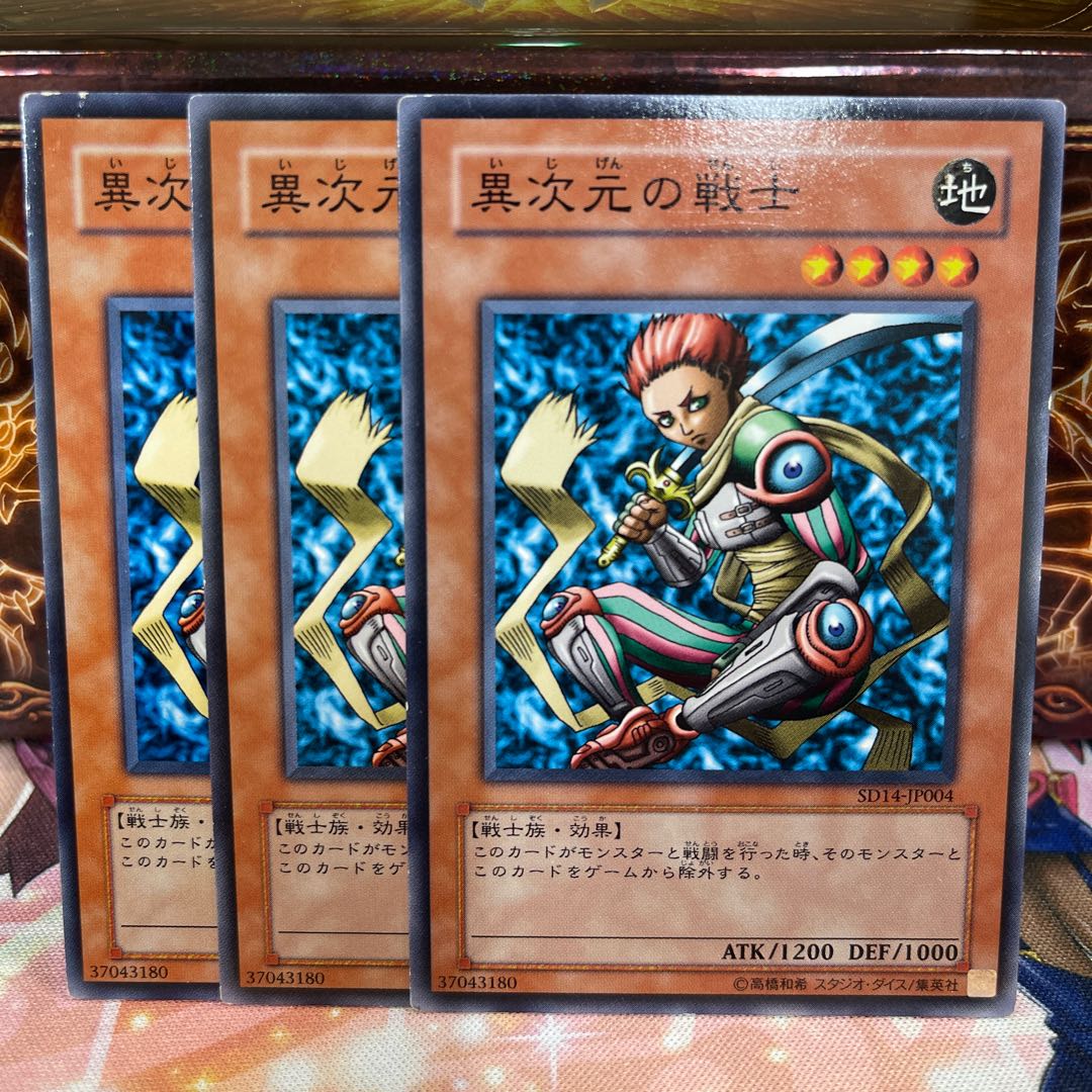 No.1044 P shop D.D. Warrior [no