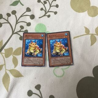 鬼ガエル 2枚