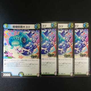 Coral Fairy Kiuri C 89/95