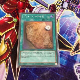 Piri Reis Map Super Rare