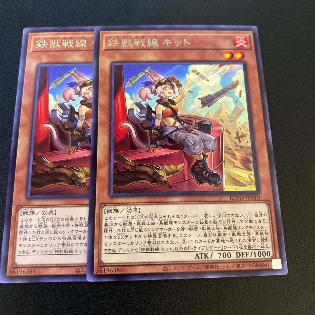 Tetsujyu Sensen Kit 2 pieces