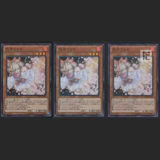 Ash Blossom & Joyous Spring [near] Super set of 3 /Managed by MY0360