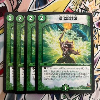 Evolutionary blueprint R 25/71