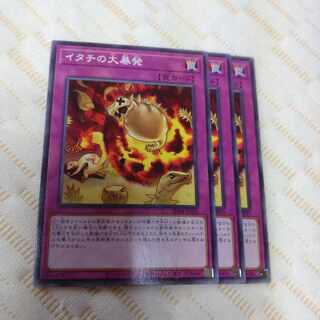 イタチの大暴発  3枚