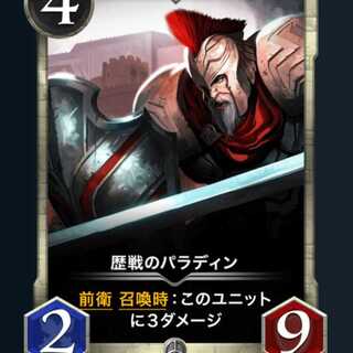 歴戦のパラディン LV68