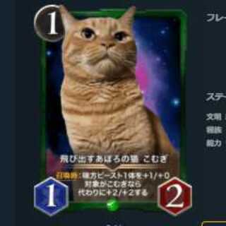 飛び出すあぽろの猫 こむぎ LV0