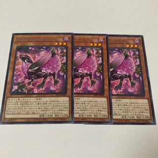 ロクスローズ・ドラゴン レア JP009 1枚