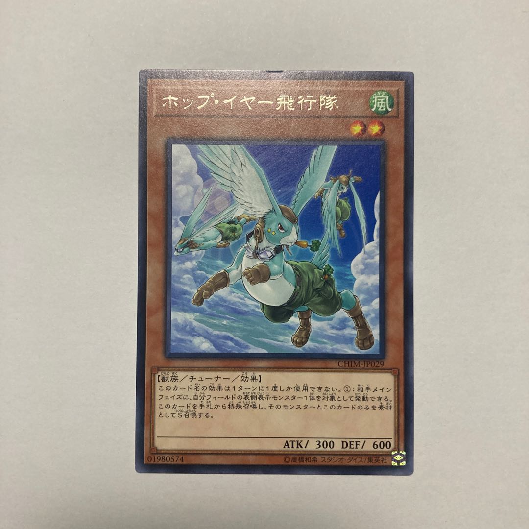 ホップ・イヤー飛行隊 レア JP029