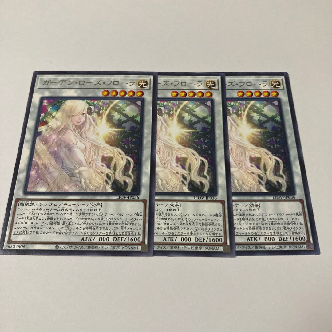 Garden Rose Flora rare JP036