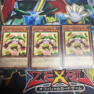 Prediction Princess Coinorma Rare JP030