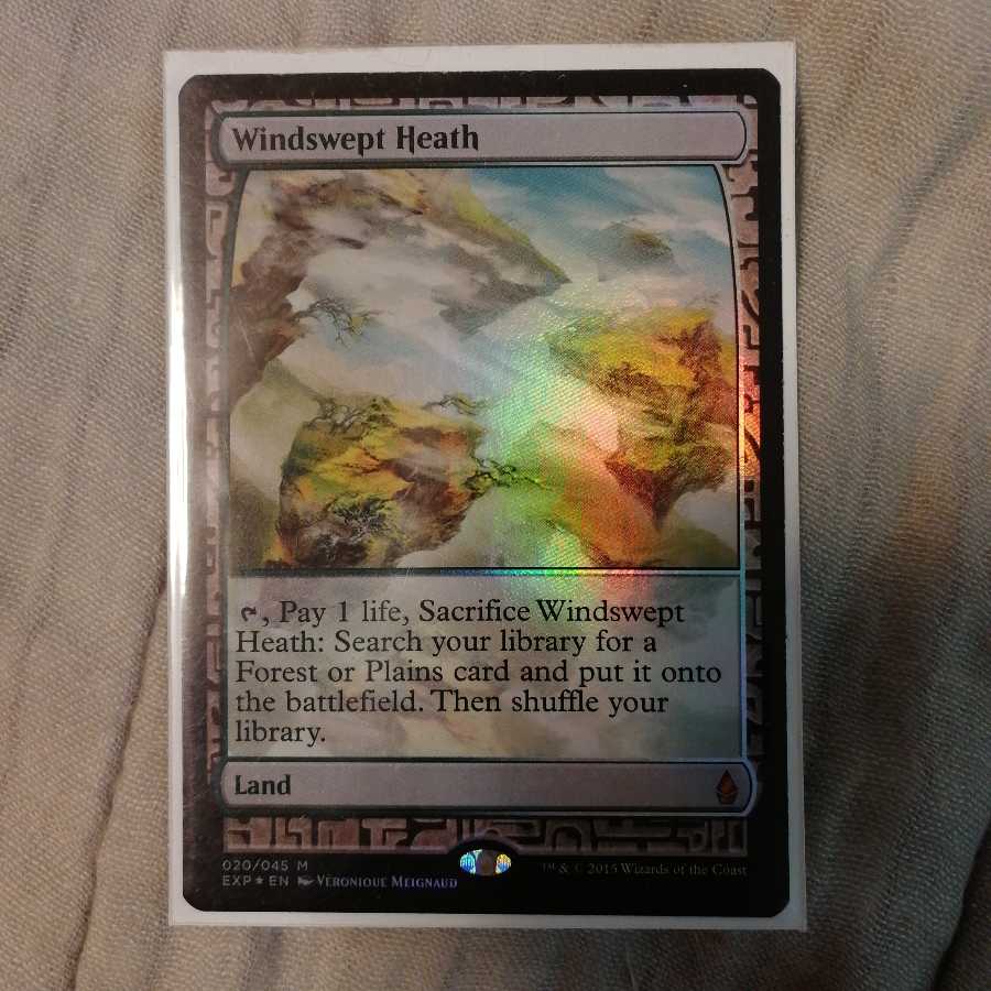 吹きさらしの荒野　エクスペディション