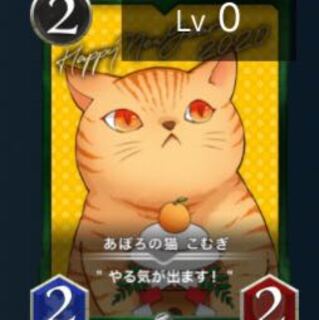 あぽろの猫　こむぎ