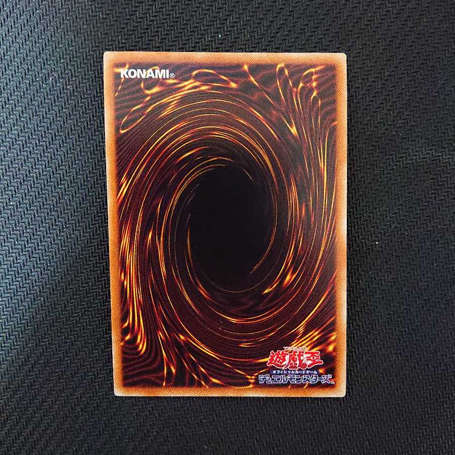 Fantastical Dragon Phantazmay