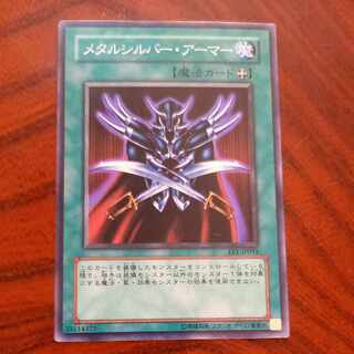 Metalsilver Armor Normal {equipped magic}