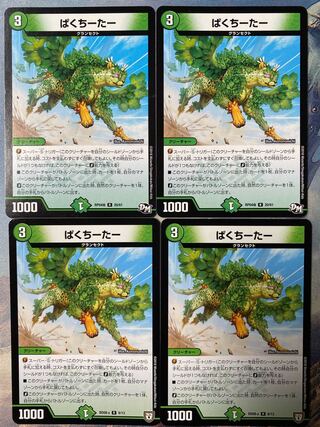 ぱくちーたー R