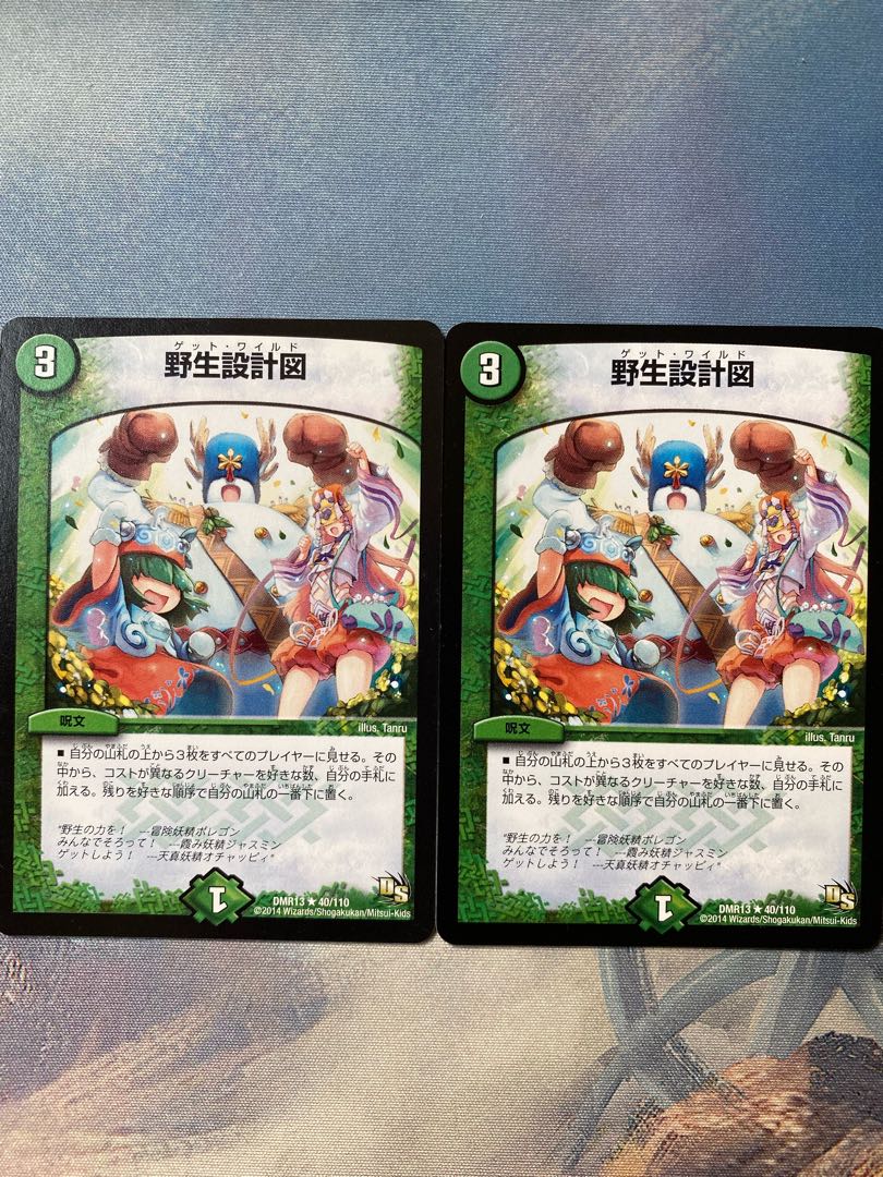 Wild Life Blueprint R 40/110