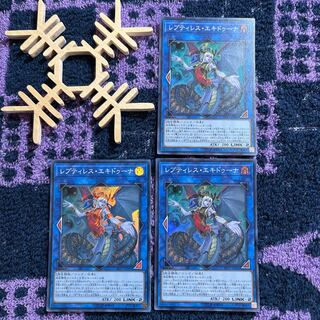 レプティレス・エキドゥーナ スーパーレア JP046