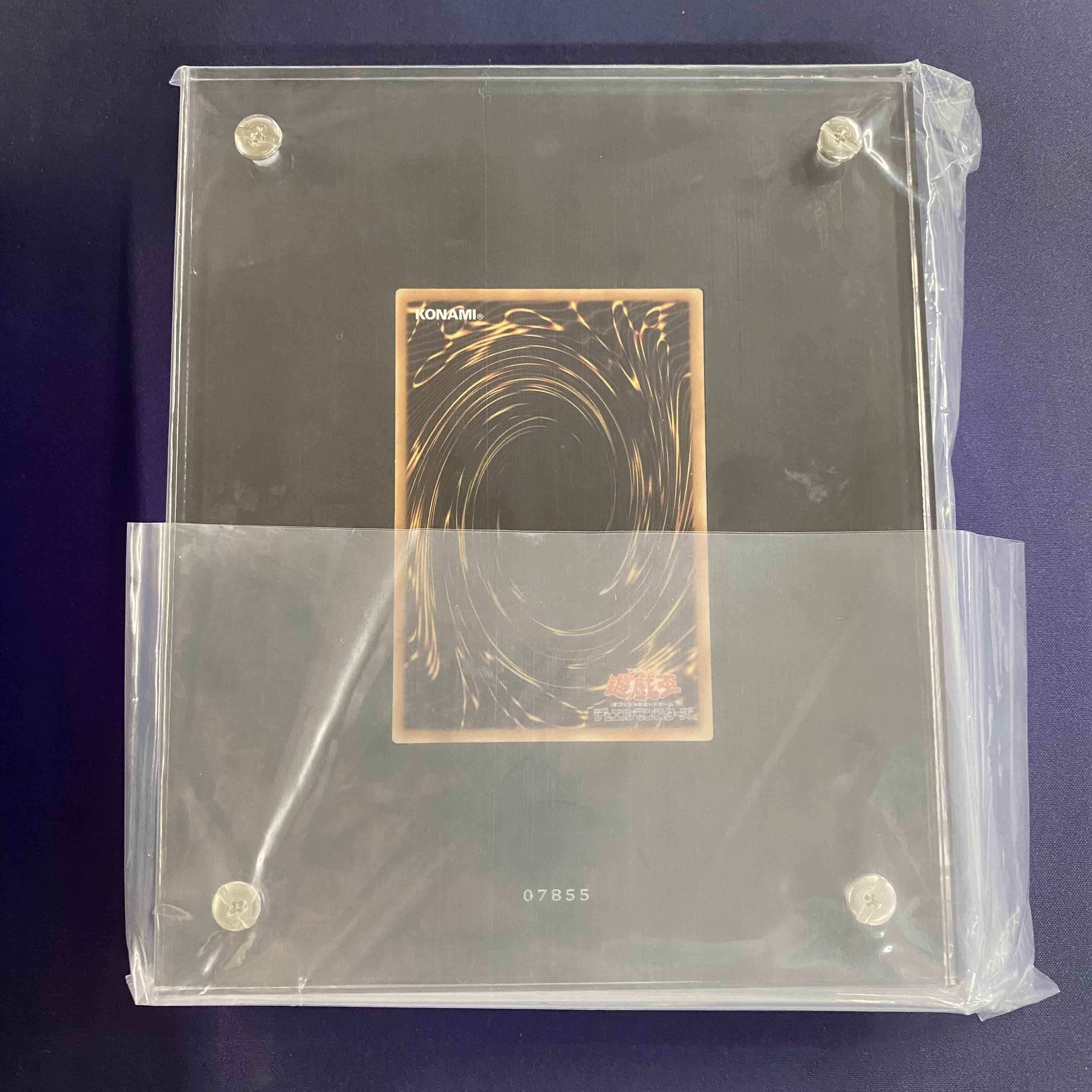 Black Magician Girl Stainless Steel Stainless Steel Girl Includes accessories Includes notification