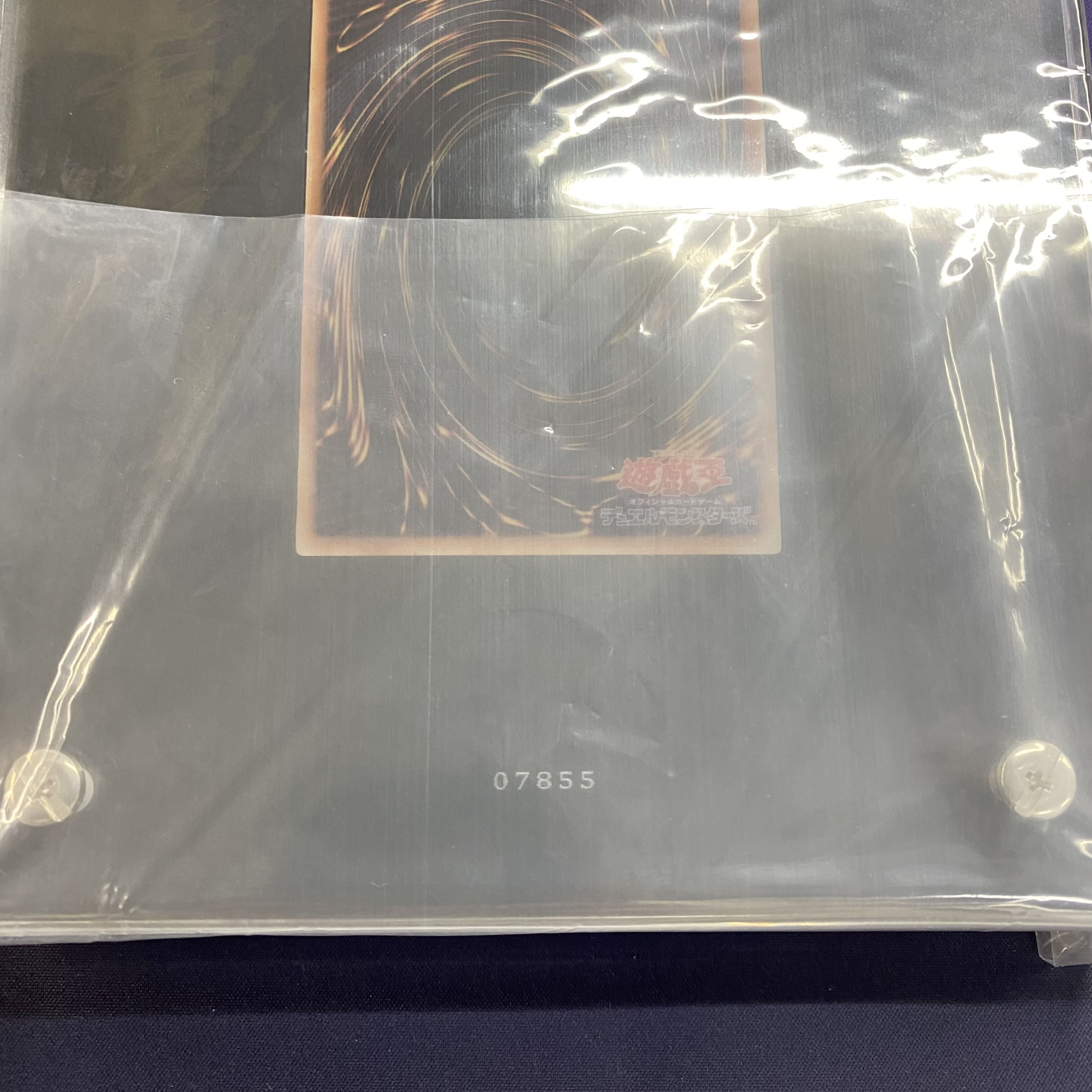 Black Magician Girl Stainless Steel Stainless Steel Girl Includes accessories Includes notification