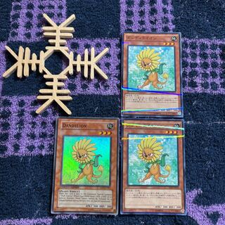 Dandylion parallel normal JP034