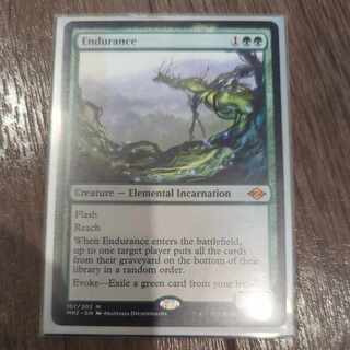 Endurance Myth Rare 157/303