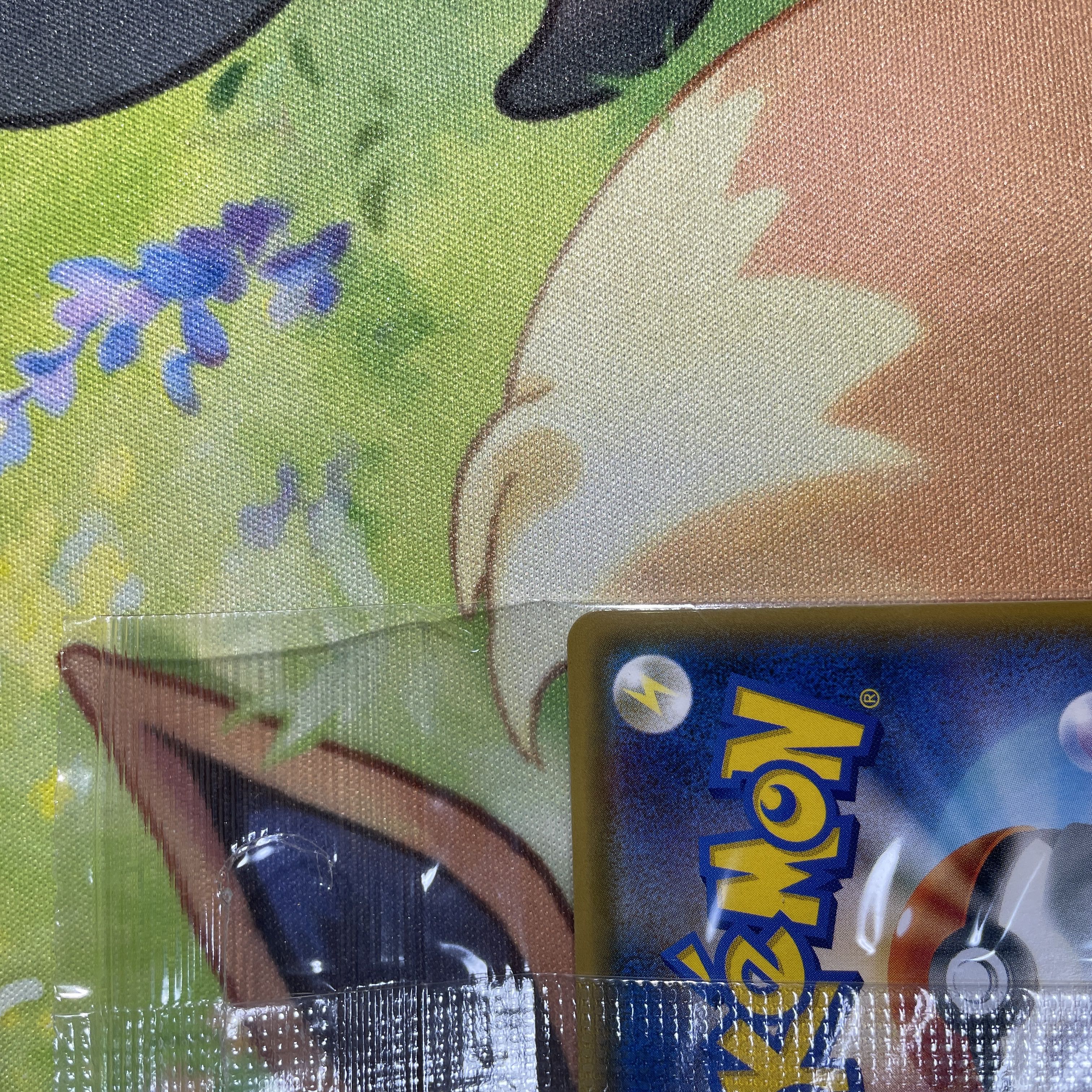 Eevee in poncho Unopened Umbreon Promo PROMO 141/SM-P