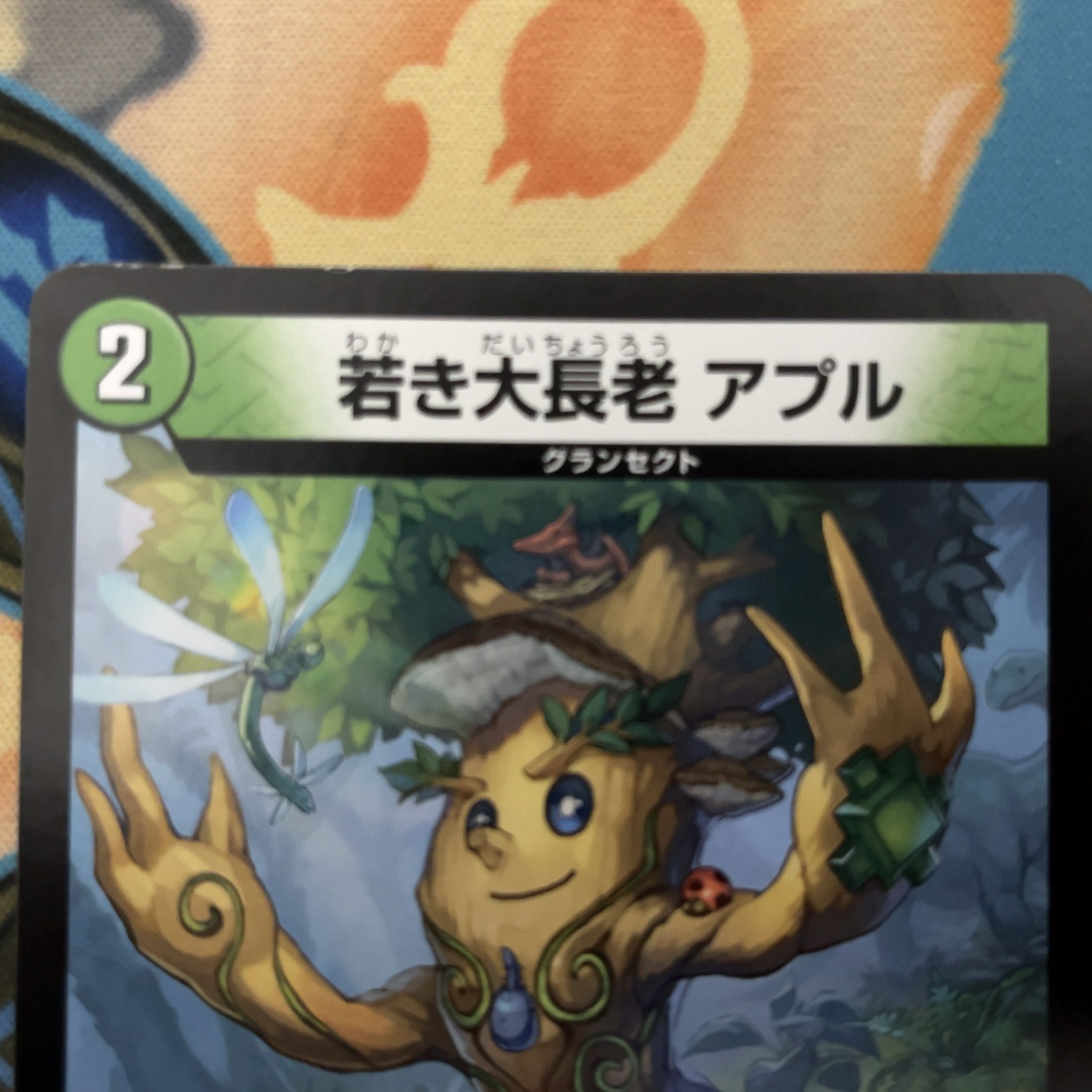 Young Grand Elder Apul U 42/76